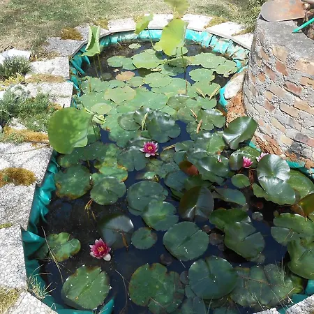 Apartmán Montevecchio Vasto